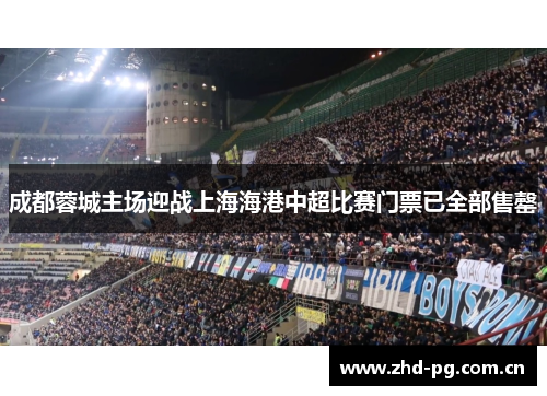 成都蓉城主场迎战上海海港中超比赛门票已全部售罄